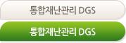 통합재난관리 DGS