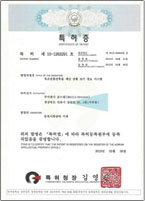 특허 10-1263291